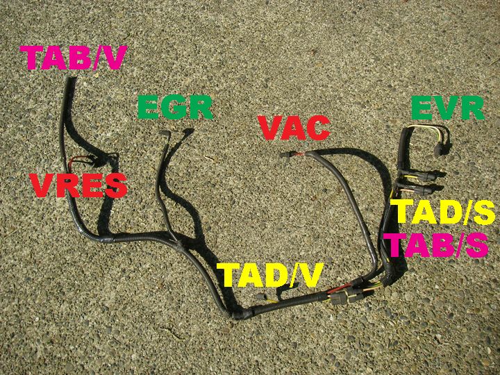 Black vacuum hose harness on gravel with labeled connection points