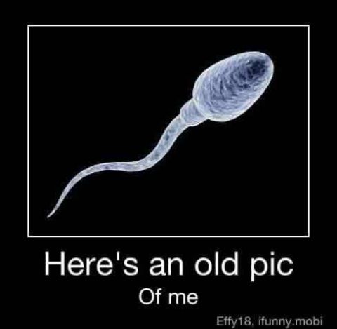 2000 Mercury Grand Marquis - A humorous meme a sperm cell illustration with a personal caption.