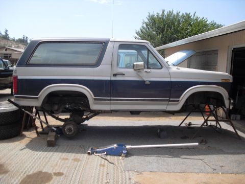 1986 Ford Bronco - This Ford Bronco is elevated on jack stands, with its front hood open, undergoing maintenance.