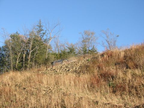 1991 Ford Bronco - A dark SUV is seen on a rocky hillside surrounded by dry grass and trees.