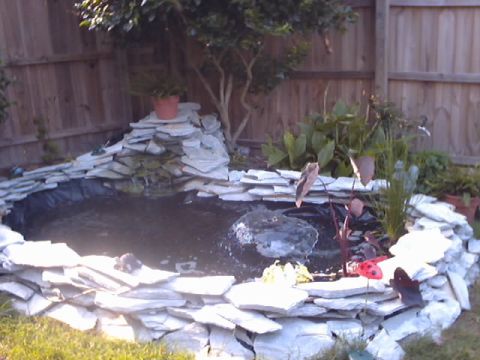 1990 Ford Bronco - A backyard pond features a rock waterfall and surrounding greenery, with a watermark visible.
