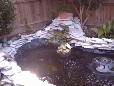 1990 Ford Bronco - A backyard pond features a multi-tiered rock waterfall and a small turtle perched on the edge.
