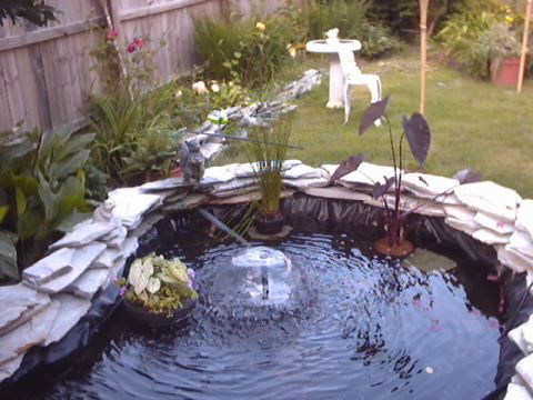 1990 Ford Bronco - A tranquil garden scene a pond with a fountain, surrounded by lush greenery and decorative elements.