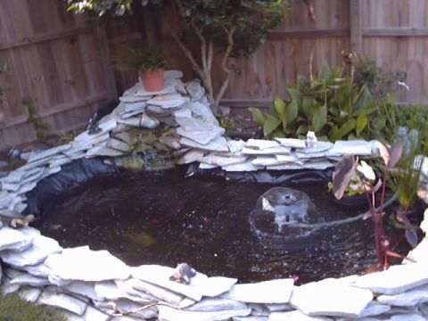 1990 Ford Bronco - A backyard pond scene a waterfall, aquatic plants, and decorative elements.