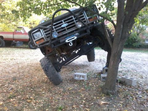 1986 Ford Bronco - A modified black Ford Bronco is precariously lodged in a tree, with another pickup truck in the background.