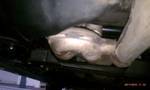 1994 Ford Probe - Close-up view of the exhaust system components on the underside of a vehicle.