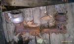1994 Ford Probe - An antique cast iron shelf with decorative scrollwork holds two metal pots and a woven basket on a weathered wooden surface.