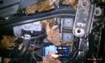 1994 Ford Probe - Close-up view of an engine bay filled with leaves and debris, obscuring most of the mechanical components.