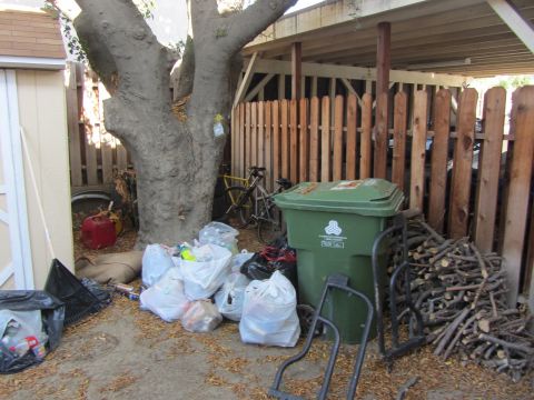 1968 Ford Mustang - A cluttered yard scene features trash bags, a bicycle, a green trash bin, and a red gas can near a large tree and wooden fence.