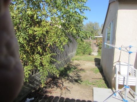 1968 Ford Mustang - Backyard scene with a wooden fence, green tree, and a clothesline with chairs.