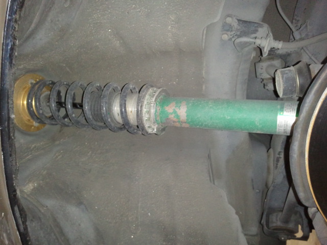 Green suspension strut with adjustable spring perch and coilover assembly