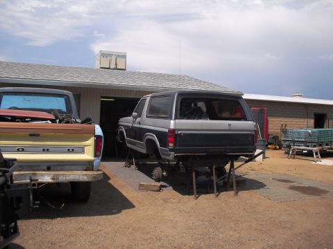 1986 Ford Bronco - A Ford Bronco is elevated on jack stands in front of a garage, with a Ford pickup truck nearby.