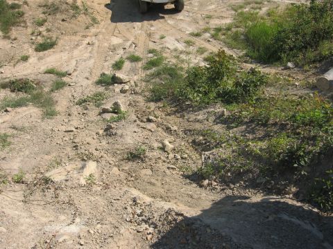 1987 Jeep Comanche - A vehicle navigates a rough, unpaved path with visible tire tracks and scattered rocks.