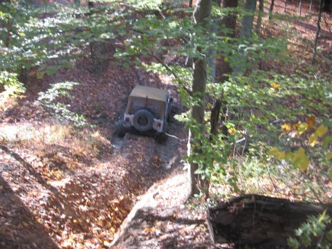 1987 Jeep Comanche - A Jeep CJ-8 Scrambler navigates a steep, leaf-covered trail in a forest.