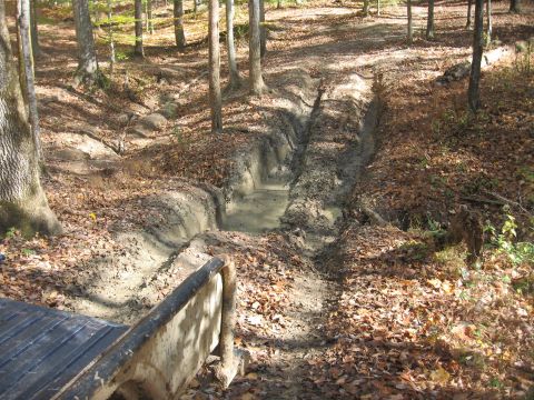1987 Jeep Comanche - A muddy, rutted trail winds through a wooded area, with the edge of a truck bed visible in the foreground.