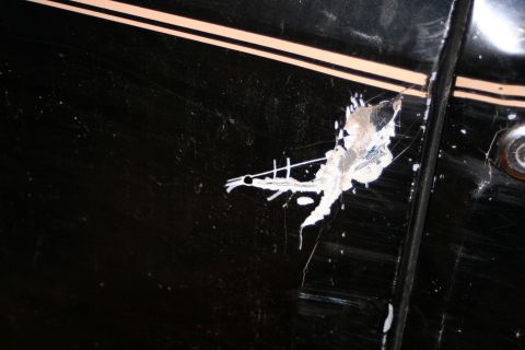 1989 Ford Bronco - Close-up of damage on a black car door, showing chipped paint and white splatter.