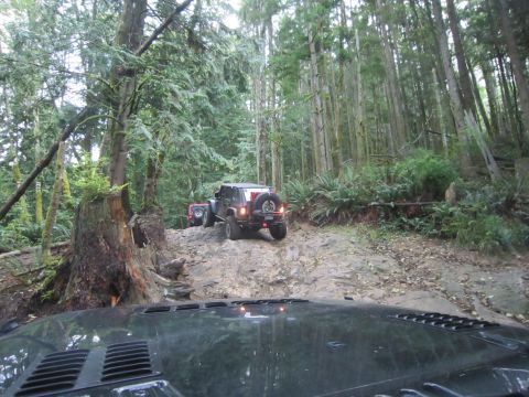 2008 Jeep Wrangler - Jeeps navigate a challenging, rocky trail surrounded by tall trees and lush greenery.