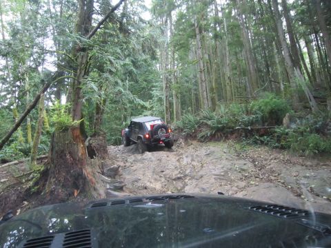 2008 Jeep Wrangler - A Jeep Wrangler navigates a challenging, rocky path through a dense forest.