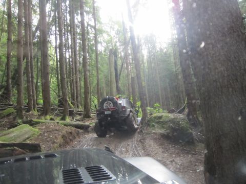2008 Jeep Wrangler - Off-roading in a forest with two Jeeps on a dirt trail.