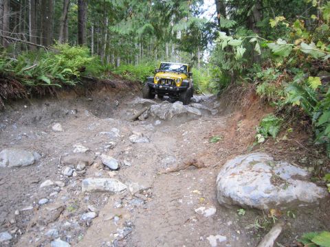 2008 Jeep Wrangler - A yellow Jeep Wrangler navigates a challenging, off-road trail surrounded by dense forest foliage.