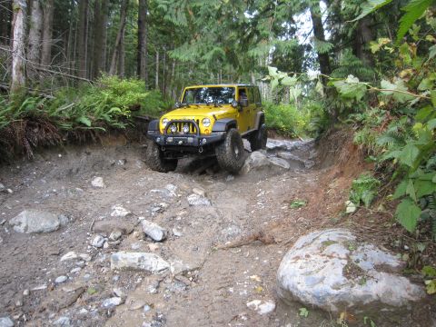 2008 Jeep Wrangler - A yellow 2008 Jeep Wrangler tackles a challenging off-road path through a forest.