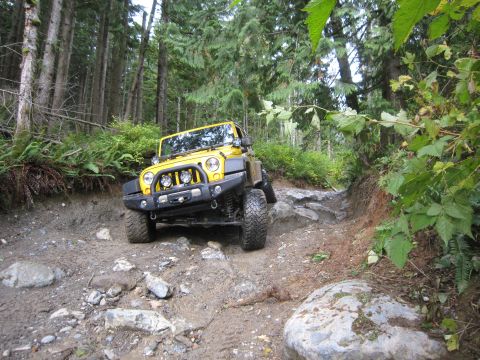 2008 Jeep Wrangler - Yellow 2008 Jeep Wrangler tackling a challenging off-road trail in a wooded area.