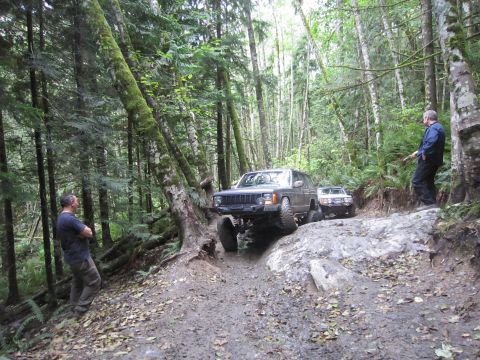 2008 Jeep Wrangler - Two Jeeps tackle a challenging off-road course through a dense forest, with one vehicle carefully maneuvering over rocks and mud.