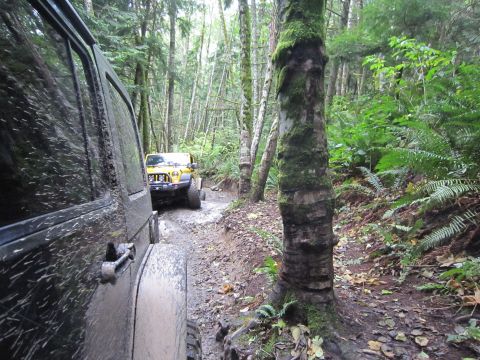 2008 Jeep Wrangler - Two Jeeps navigate a wet, wooded path during an off-road excursion.