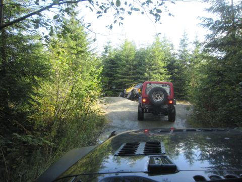 2008 Jeep Wrangler - Several Jeeps navigate a wooded trail, with one red Jeep leading the way on a wet, dirt path.