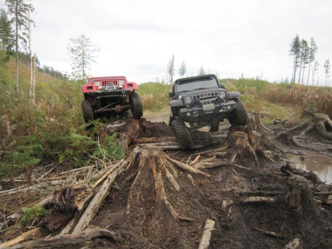 2008 Jeep Wrangler - Two Jeeps navigate a challenging off-road course with large tree stumps and mud.