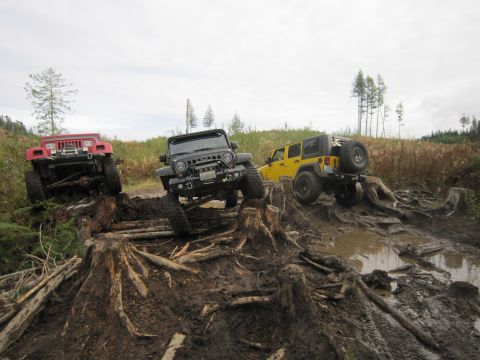 2008 Jeep Wrangler - Multiple Jeeps tackle a challenging off-road trail marked by stumps and deep mud.