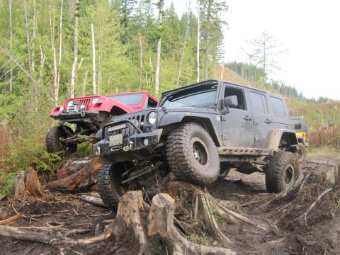 2008 Jeep Wrangler - Two modified Jeeps navigate a challenging off-road course with large tree stumps and muddy terrain.