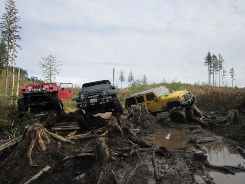 2008 Jeep Wrangler - Three Jeeps navigate a challenging off-road course with mud and tree stumps under a cloudy sky.