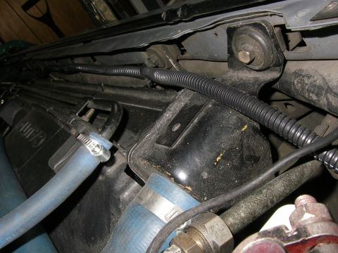 1990 Ford Bronco - Engine bay wiring and hoses, including a corrugated loom and blue coolant hoses.