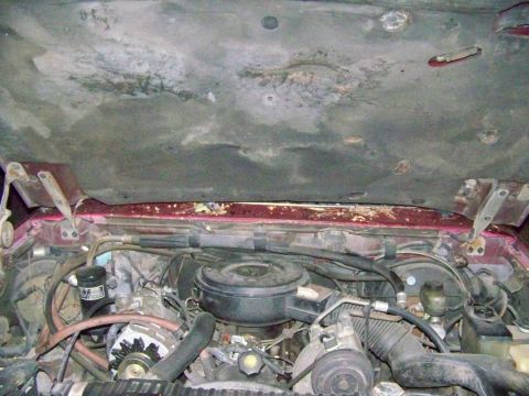 1985 Ford Bronco - The engine bay of a vehicle shows a large air filter and the underside of the hood with visible wear.