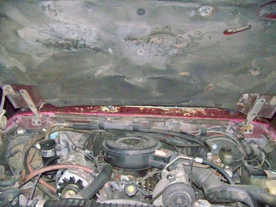 Engine bay with a large black air filter housing and red paint on the hood's underside
