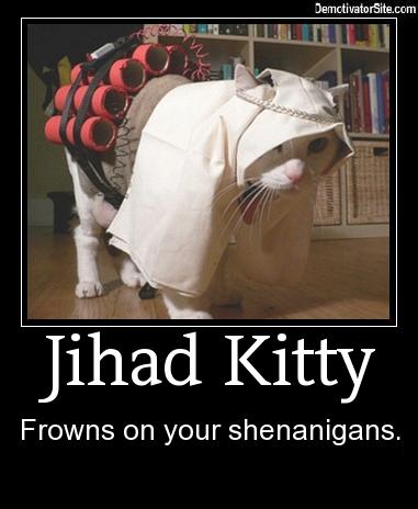 1995 Ford Bronco - This cat is dressed as a suicide bomber, complete with fake explosives strapped to its back.