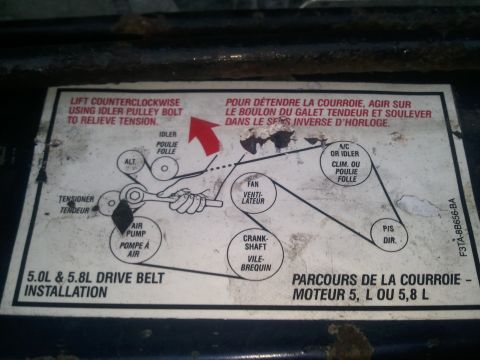 1994 Ford Bronco - Serpentine drive belt routing diagram for Ford 5.0L and 5.8L engines with idler-tensioner instructions.