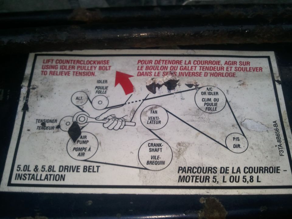 Ford drive belt routing diagram label for 5.0L and 5.8L engines showing pulley layout