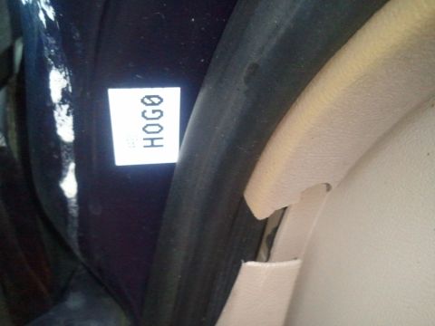 1994 Ford Bronco - Close-up of an interior decal with the text HOGO visible.