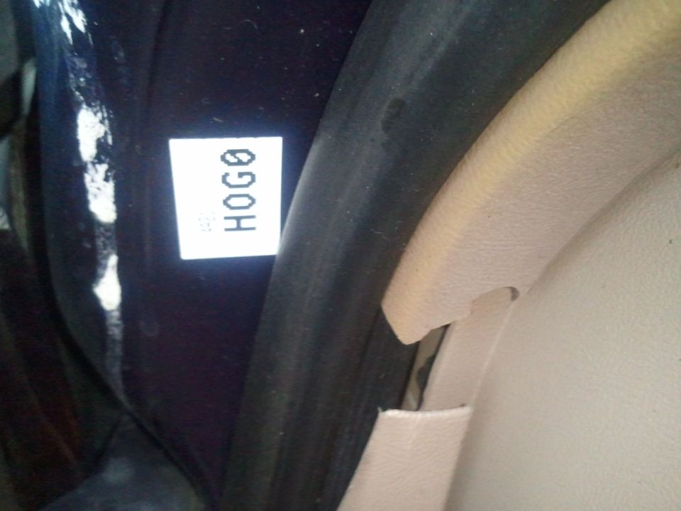 Interior decal with text HOGO