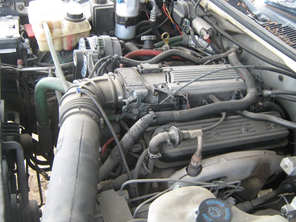 Engine bay with V8 engine components and hoses