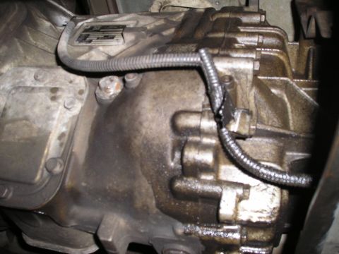 1997 Ford F-250 - Close-up view of a greasy transmission housing with visible oil leaks and a metal identification tag.