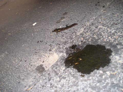 1997 Ford F-250 - A dark oil stain is visible on a gray asphalt surface, with some small debris scattered around.