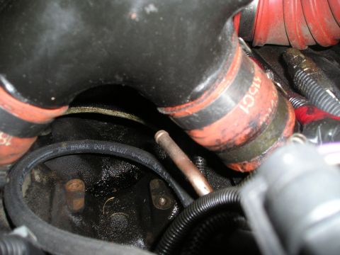 1997 Ford F-250 - Close-up view of engine bay components, including hoses and wiring, with visible text on a brake line.