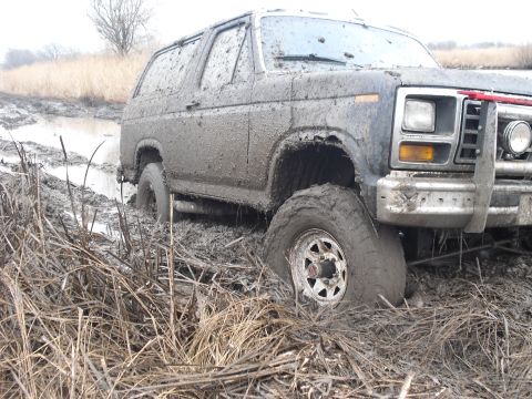 1986 Ford Bronco - This SUV is deeply stuck in mud and water, surrounded by dry vegetation.