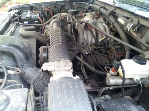 1995 Ford Bronco - Close-up view of the engine bay, showing the V8 engine components and air intake system.