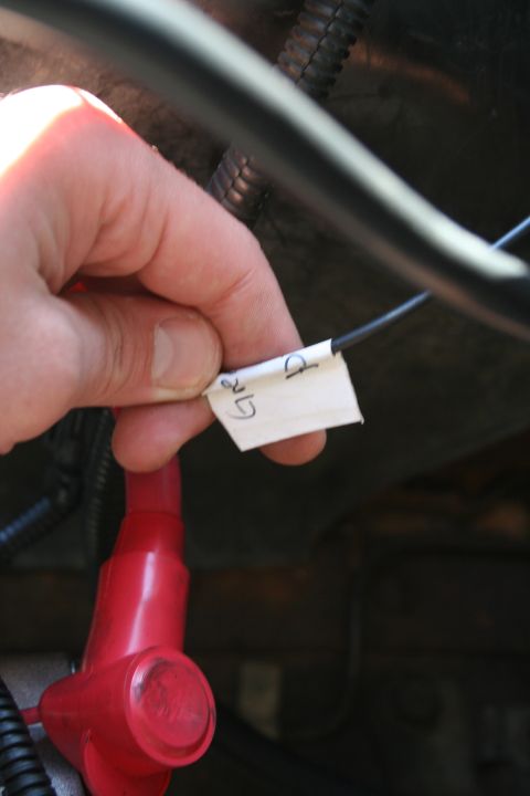 1982 Ford Bronco - A hand holds a labeled wire, possibly for identification within a vehicle's electrical system.
