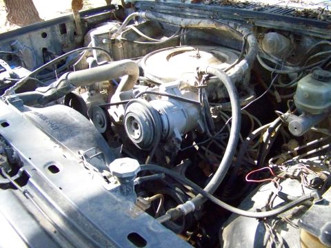 1985 Ford Bronco - The engine bay of a vehicle, showing various components and hoses.