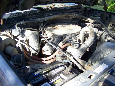 1985 Ford Bronco - The engine bay of a 1985 Ford Bronco, a V8 engine and a prominent air cleaner assembly.